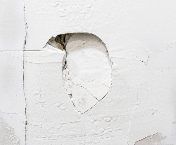 Glasshouse property manager services in waikato property rental damage 1